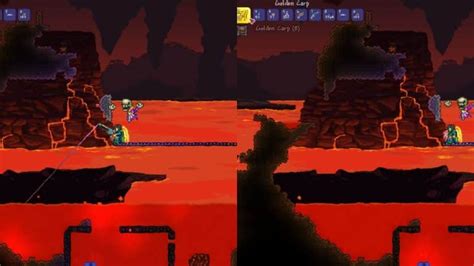 Golden carp terraria - Gold Dust is a Hardmode crafting material that is purchased from the Merchant for 17 each. Its sole purpose is to craft the Flask of Gold and Golden Bullets, which both allow the player to cause the Midas debuff. Desktop 1.2: Introduced. Console 1.02: Introduced. Switch 1.0.711.6: Introduced. Mobile 1.2.6508: Introduced. 3DS-Release: Introduced.